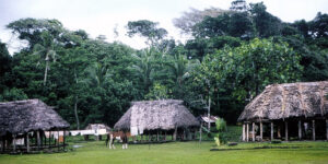 Traditional Samoan fare (houses) in 1962.