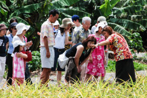 Japanese tour garden 2007
