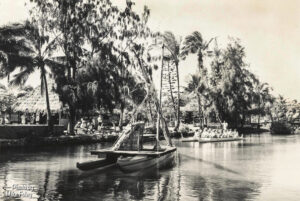 tongan kalia